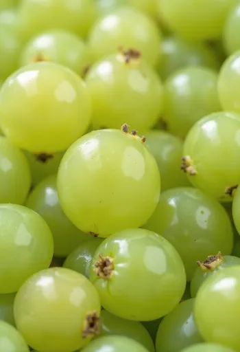 木製テーブル上の新鮮な緑と赤のグーズベリー、葉付き